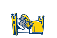 Good Night Sleep Sticker by Neumann University