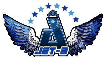 Wings Cheerleader Sticker by AirbornAllstars