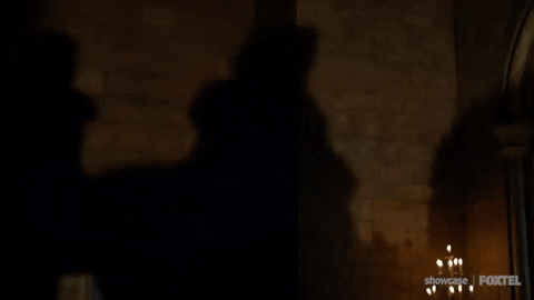 game of thrones hbo GIF by Foxtel