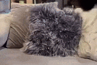 Tea GIF