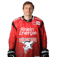 Hockey Nhl Sticker by Koelner Haie