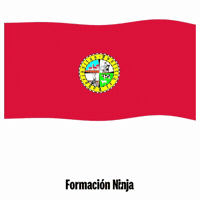 Castilla Y Leon Flag GIF by Formación Ninja
