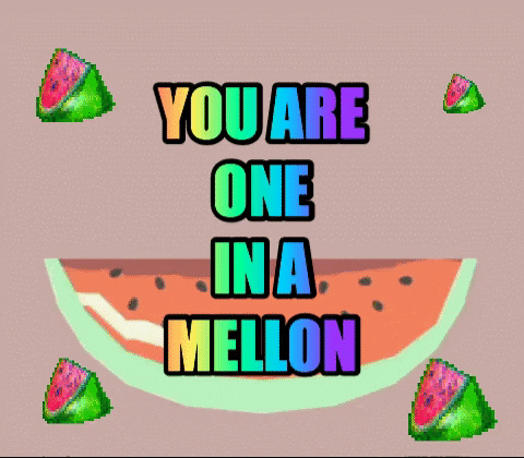 one in a million watermelon GIF by bjorn