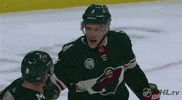 ice hockey hug GIF by NHL
