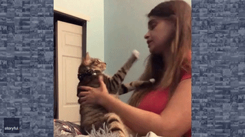 Not Feline Affectionate: Adorable Cat Born With 4 Ears Refuses Owner's Kisses