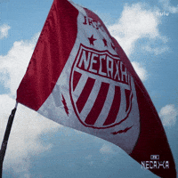 Proud Ryan Reynolds GIF by FX Networks