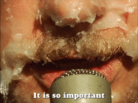 Mac Demarco GIF by Eternal Family