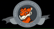 Fun Tiger GIF by Rochester Institute of Technology
