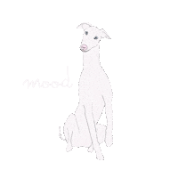 Mood Blanco Sticker