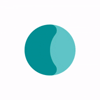 calileo egld cal elrond egold GIF