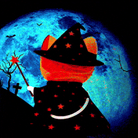 Cat Halloween GIF