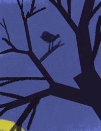 DustinCytacki night moon bird timelapse GIF