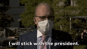 Election 2020 GIF by GIPHY News