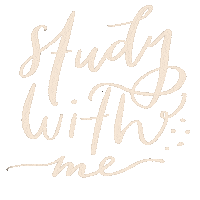 Study Studygram Sticker