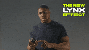 Aj GIF by Lynx