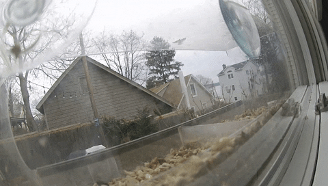 lmjoseph22 giphygifmaker GIF
