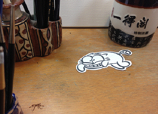 cat jump GIF by marko
