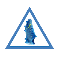 Ultra Speed Of Light Sticker by PUMA