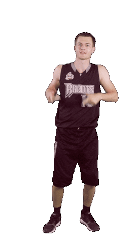 Basketball Swipe Up Sticker by ACSL - Austrian College Sports League