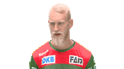 Handball-Bundesliga Hand Sticker by LIQUI MOLY HBL