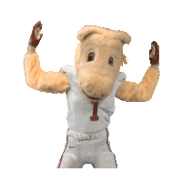 College Sports Oklahoma Sticker by College Colors Day