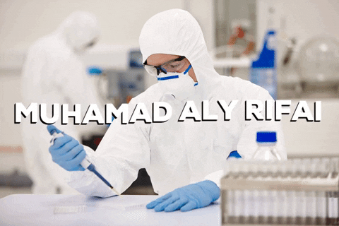 muhamadalyrifai giphygifmaker behance muhamad aly rifai GIF