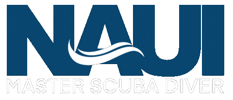 Water Diving Sticker by NAUI