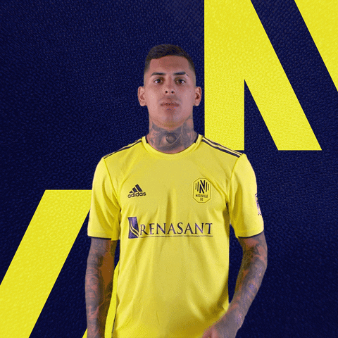 Nsc GIF by Nashville SC