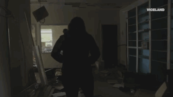 viceland GIF by ABANDONED