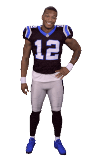 Carolina Panthers Sticker Sticker by NFL
