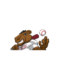 Bronco Baseball Sticker by Santa Clara Broncos