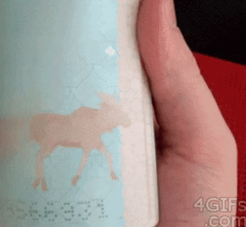 ehdgus1211 giphyupload GIF