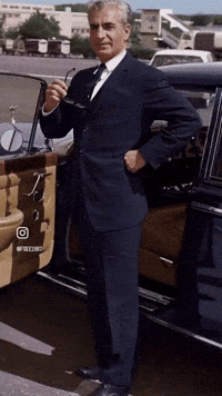 King Iran GIF