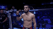 Mixed Martial Arts Sport GIF by UFC