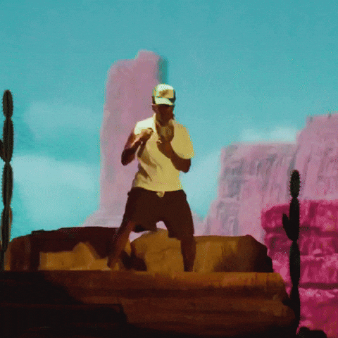Tyler The Creator GIF by Respective