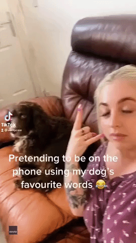 Dog Goes Nuts When Owner Fakes Phone Call Using His Favorite Words
