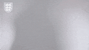 Three Lions Football GIF by England