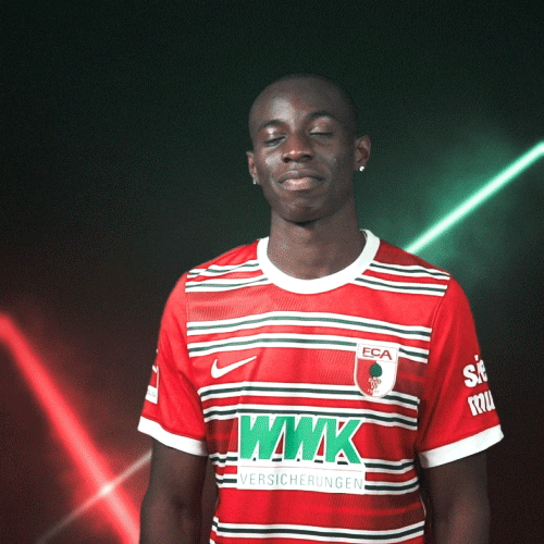 Bundesliga Hallo GIF by FC Augsburg 1907