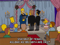 homer simpson episode 10 GIF