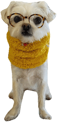 Puppy Blink Sticker