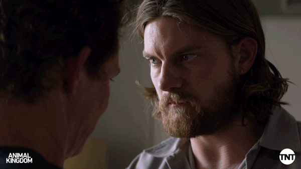 S5 Ep 5 GIF by Animal Kingdom on TNT