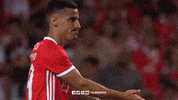 high five sl benfica GIF by Sport Lisboa e Benfica