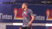 Sl Benfica Slbgif GIF by Sport Lisboa e Benfica