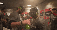 Celebrate World Series GIF by MLB