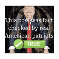 Patriots Sticker