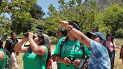 latinooutdoors nature look latina latino GIF