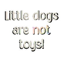 Small Dogs Rainbow Sticker