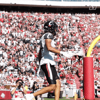 University Of Cincinnati Celebration GIF by Cincinnati Bearcats