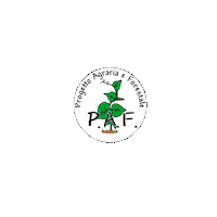 funghi ife Sticker by Pietro_Cal