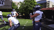 NevadaWolfPack football nevada wolf pack nevada wolf pack GIF